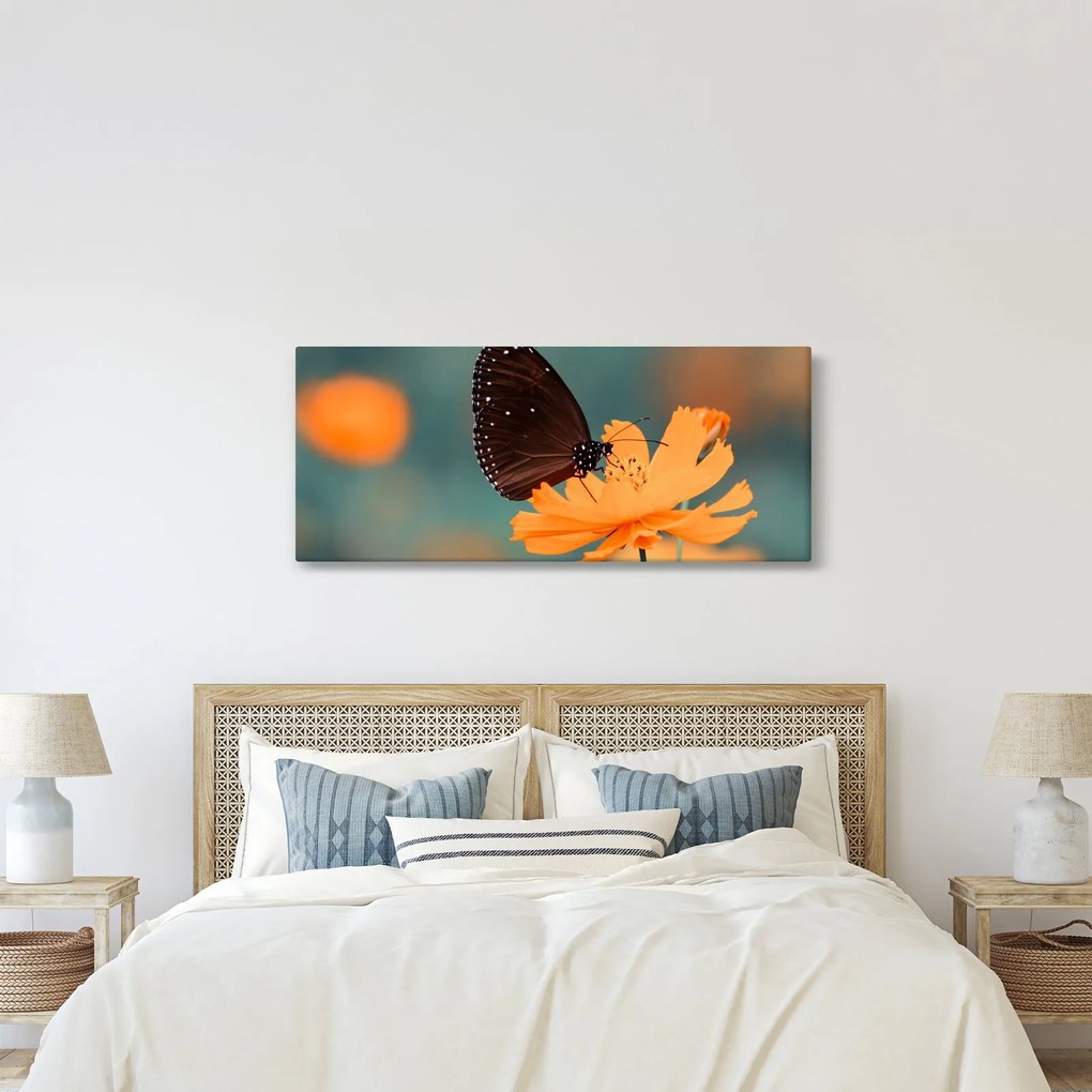 Tablou - fluture pe o floare portocalie (120x50 cm)
