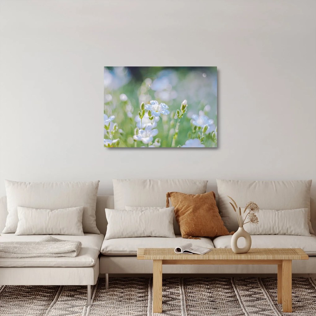 Tablou pe sticlă - Flori delicate (70x50 cm)