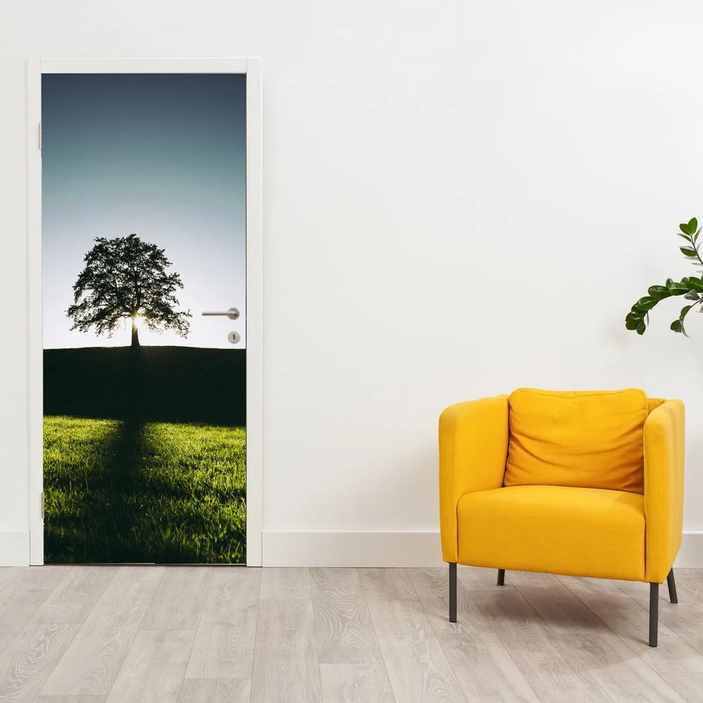Fototapet pentru ușă - Copac (95x205cm)