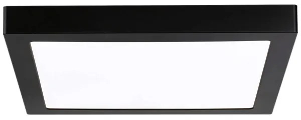 Plafonieră LED/22W ABIA 230V neagră Paulmann 71026