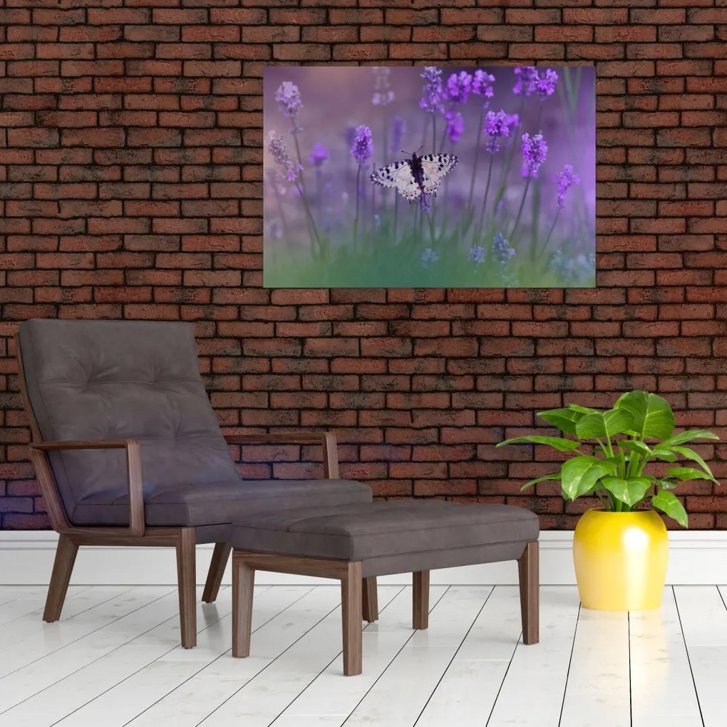 Tablou - fluture în lavandă (90x60 cm)