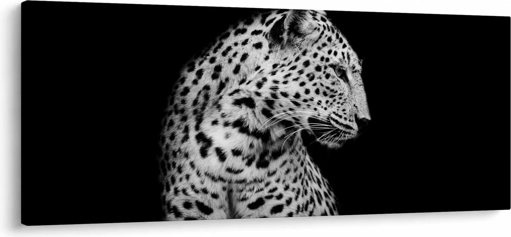 Tablou - Leopardul (120x50 cm)