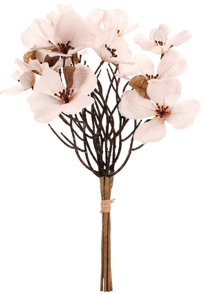 Magnolie albă, 6 ramuri în buchet, 30 x 43 cm