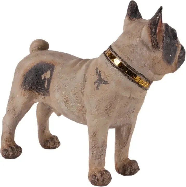 Statuetă decorativă din polirășină, buldog francez crem cu pete maro și zgardă aurie, 30 x 32 x 15,5 cm, „Bastien”