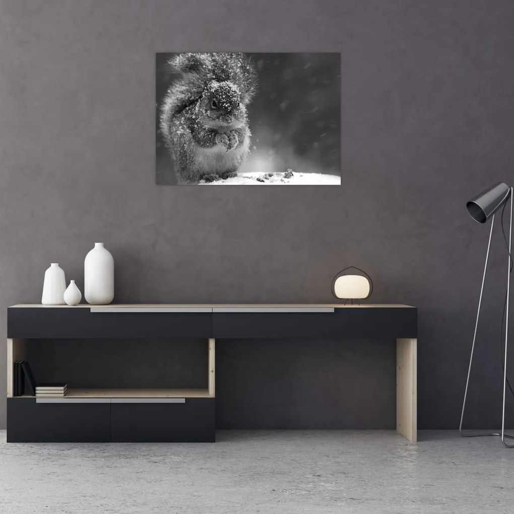 Tablou pe sticlă - Veveriță în timpul iernii (70x50 cm)