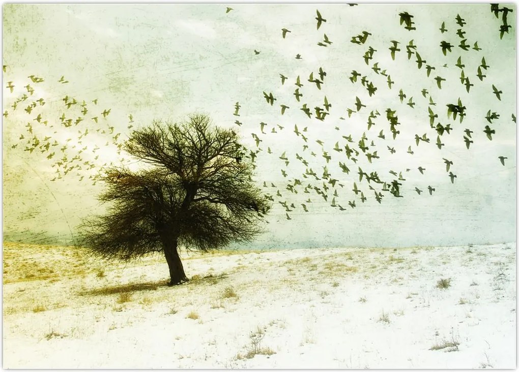 Tablou - cu multe păsări pictate (70x50 cm)