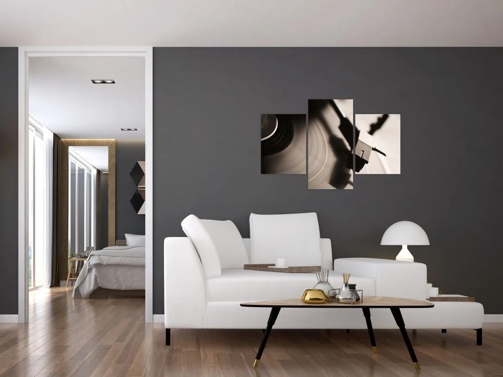 Tablou - Înregistrare gramofonică (90x60 cm)