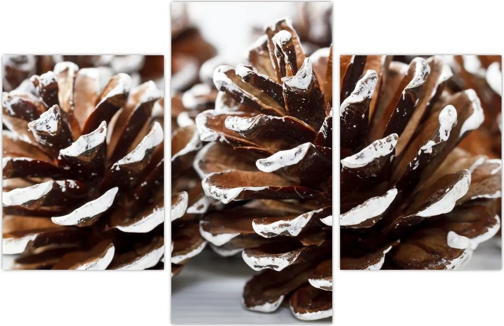 Tablou - Gogoși (90x60 cm)