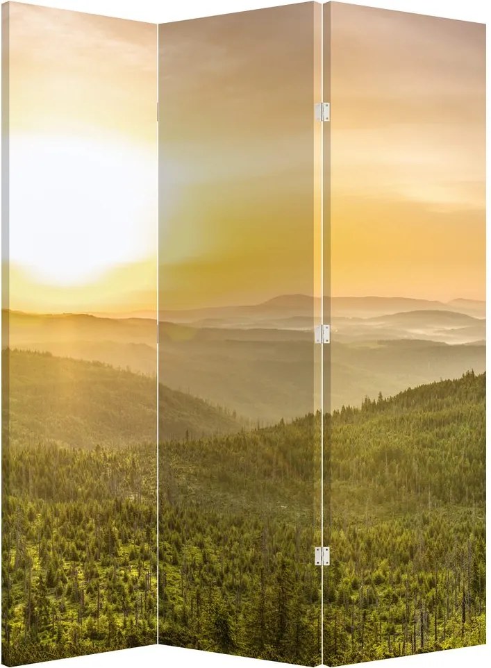 Paravan - Panorama (126x170 cm)