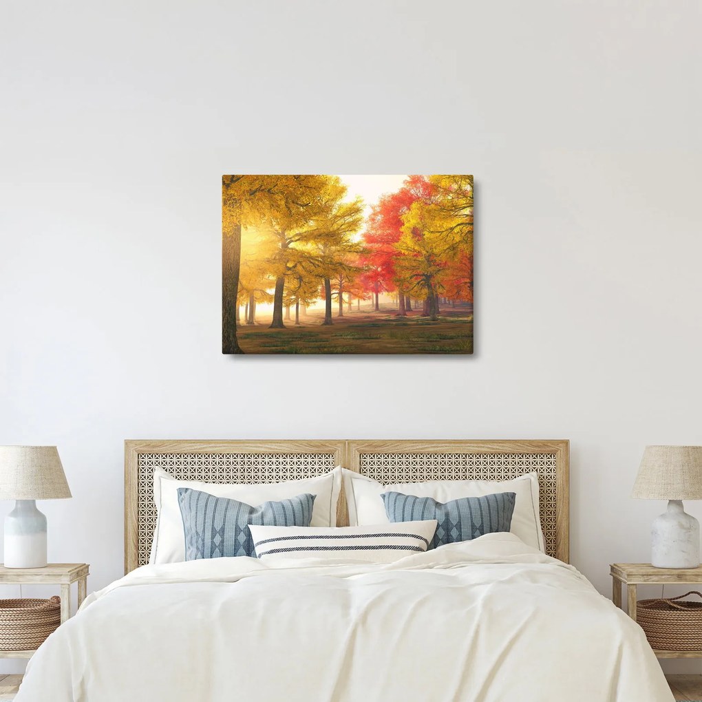 Tablou cu copaci toamna (70x50 cm)