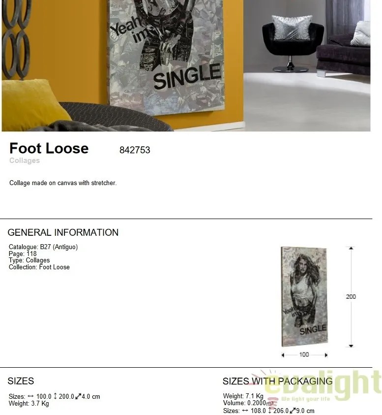 Tablou / Colaj decoratiuni interioare moderne Foot Loose SV-842753