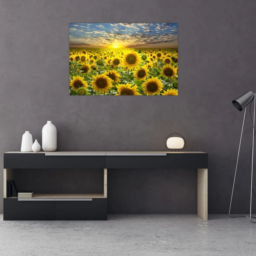 Tablou - Floarea-soarelui la apus de soare (90x60 cm)