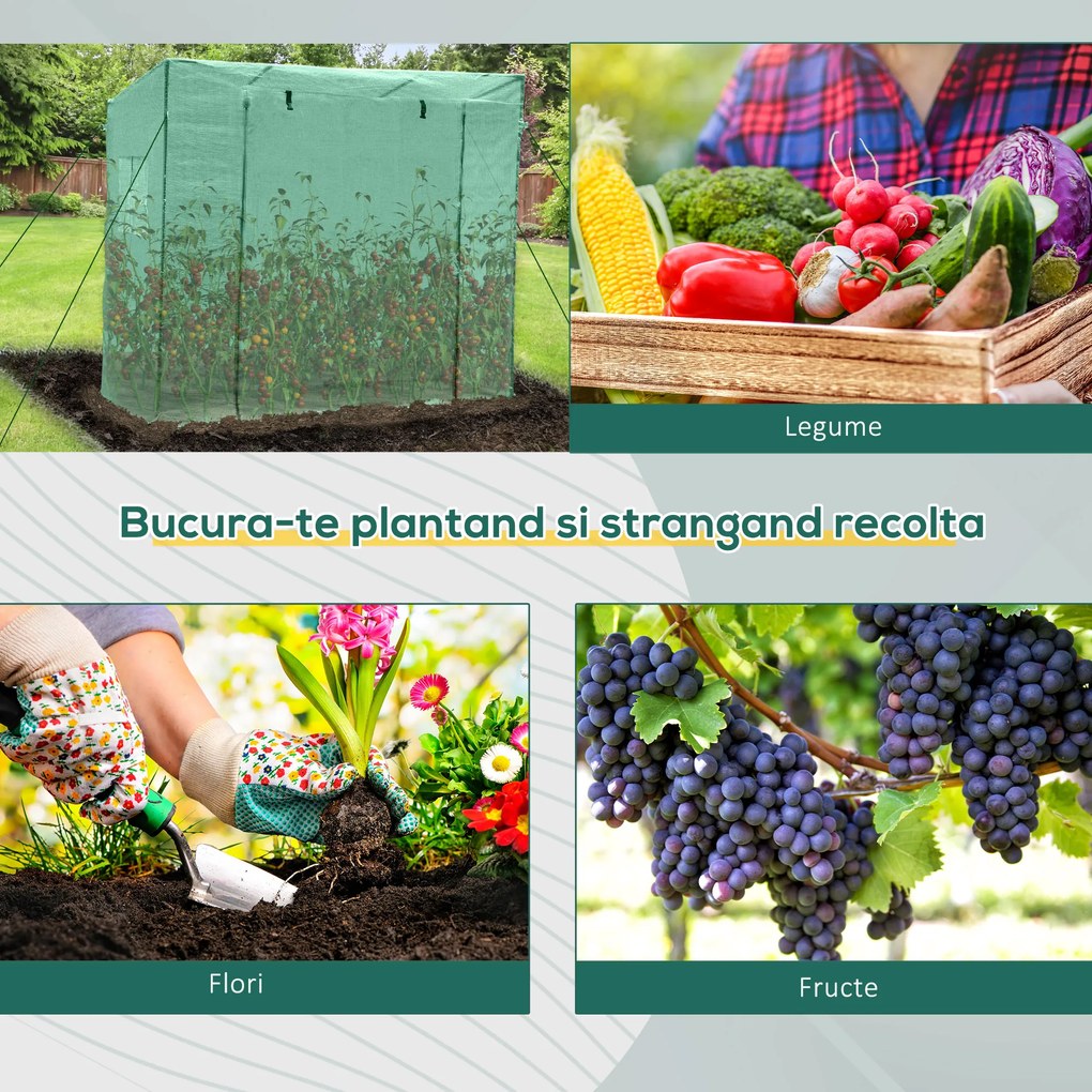 Outsunny sera de gradina pentru plante, legume, fructe, gradinarit, protectie plante 200x77x170 cm | AOSOM RO
