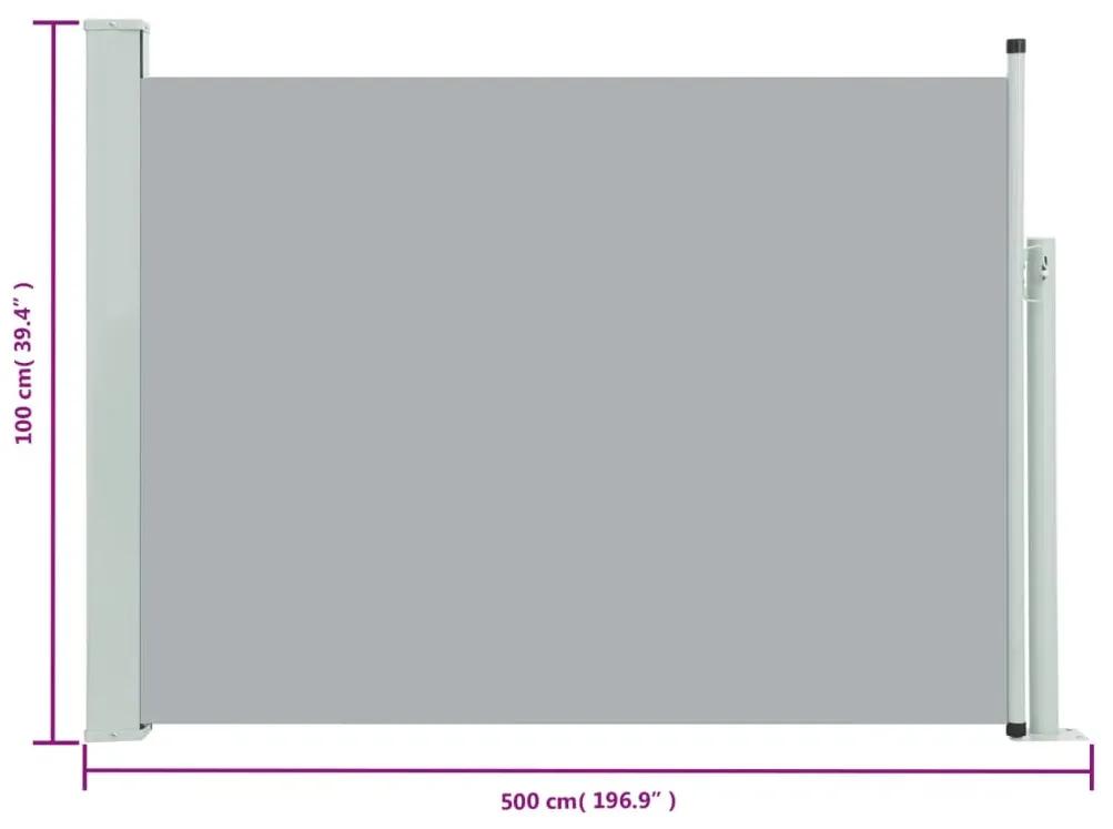 Copertina laterala retractabila de terasa, gri, 100 x 500 cm Gri, 100 x 500 cm