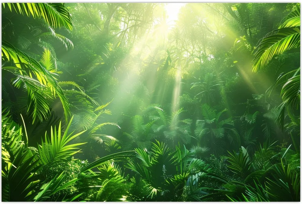 Tablou - Pădurea tropicală (90x60 cm)