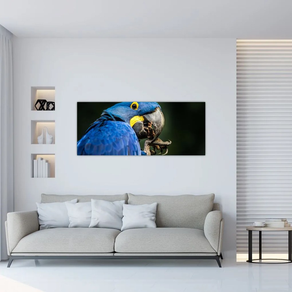 Tablou cu papagal (120x50 cm)