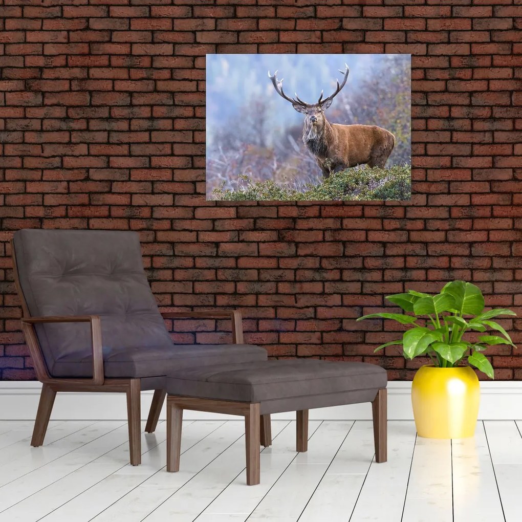 Tablou pe sticlă - Cerb în peisaj (70x50 cm)
