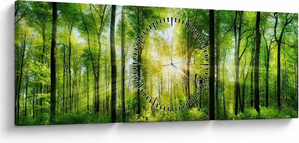 Tablou - Răsărit în pădure (cu ceas) (90x30 cm)