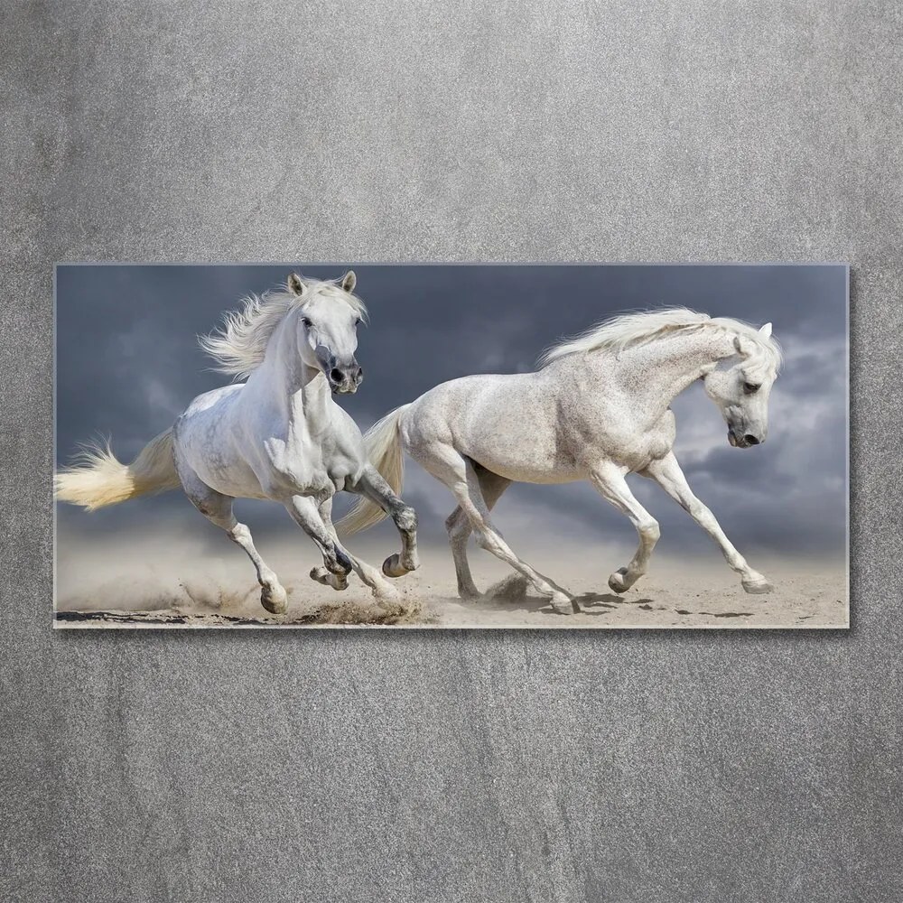 Tablou acrilic White beach horse