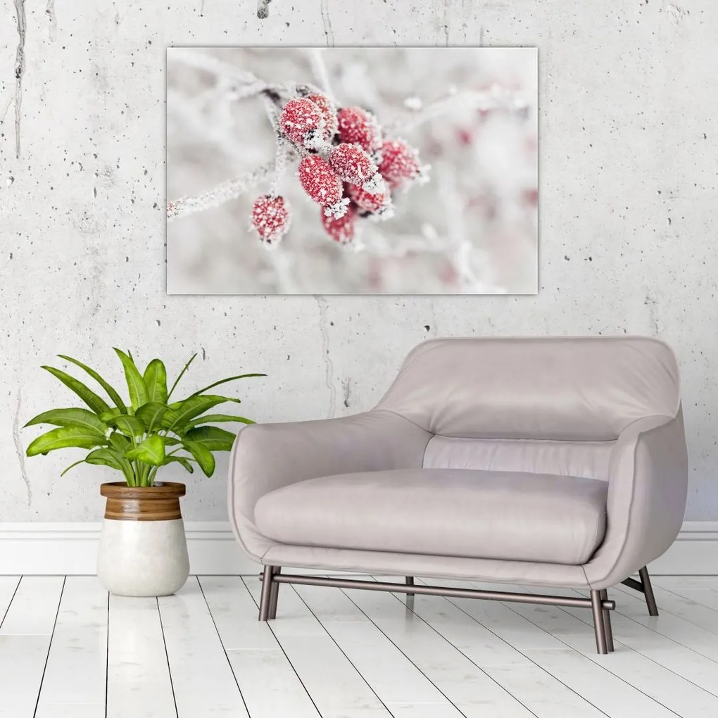 Tablou - Fructe congelate (90x60 cm)