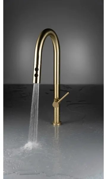 Baterie de chiuvetă cu cap de duș detașabil Deante BQO_R72M OLFATO auriu periat