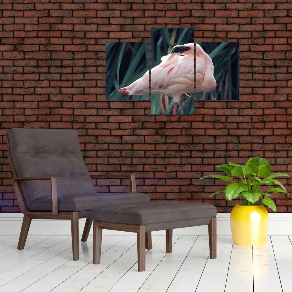 Tablou - Pasărea Flamengo (90x60 cm)