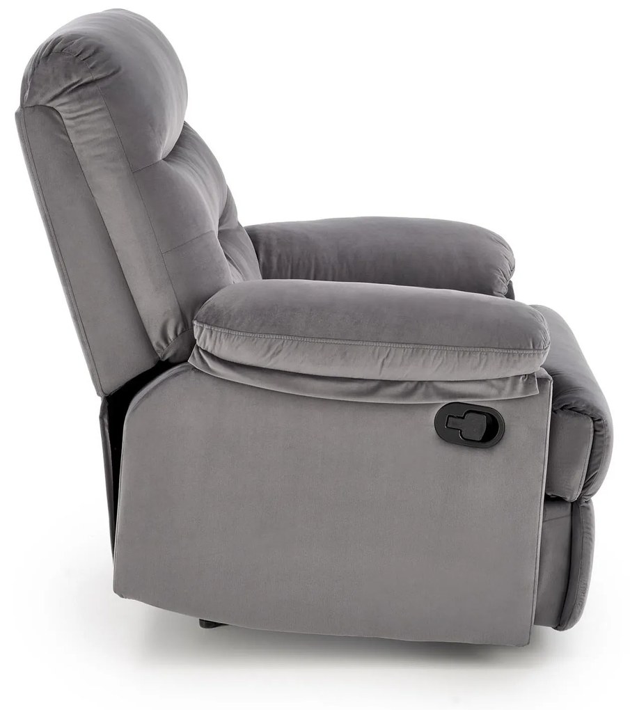 Fotolilu Drago (gri). Promo -6%. 1092520
