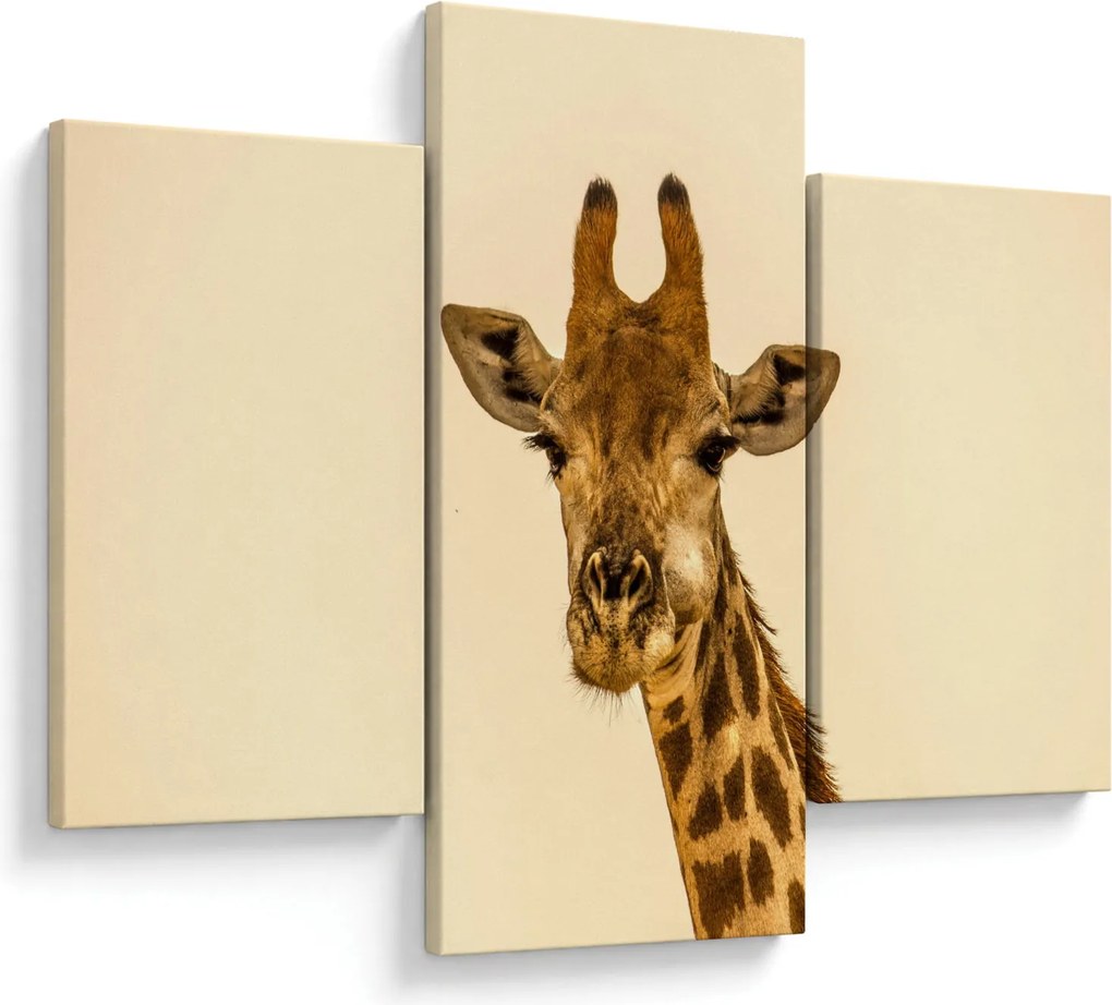 Tablou cu girafe (90x60 cm)