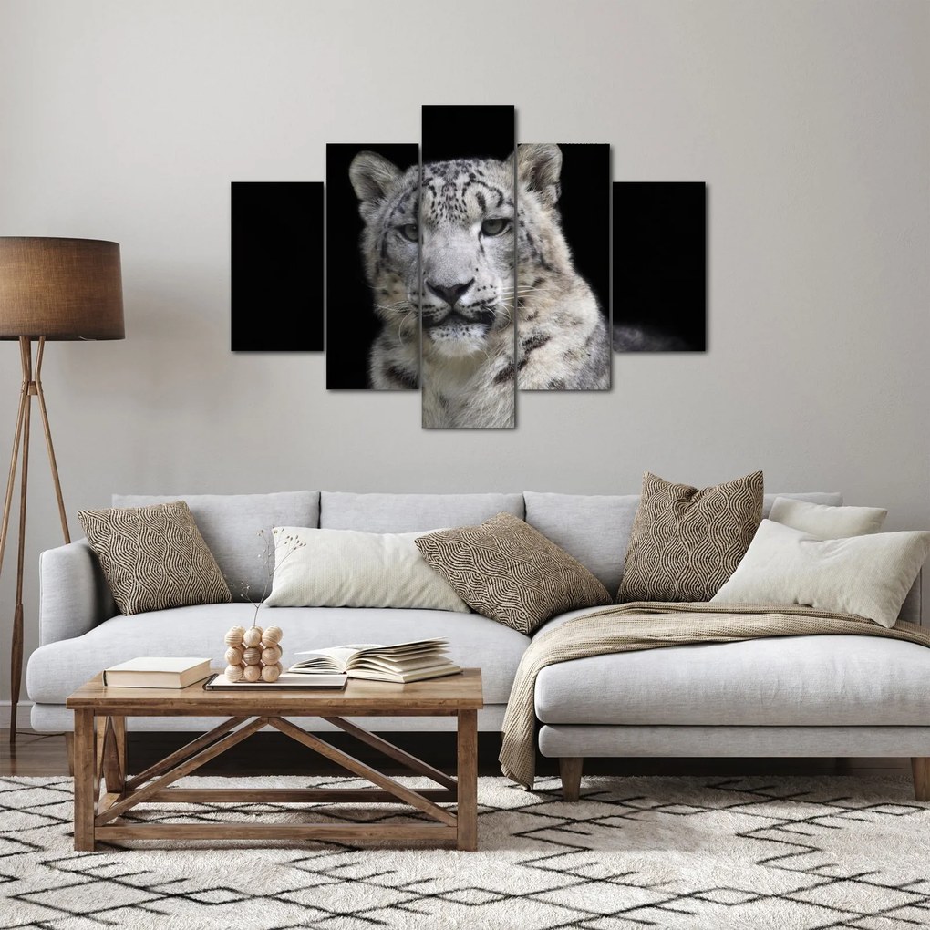 Tablou - Snow Leopard (150x105 cm)