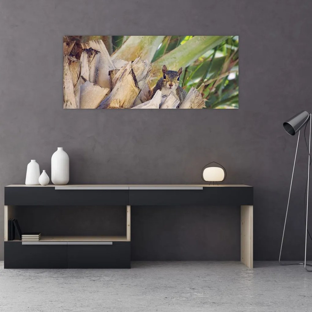 Tablou cu veverița în copaci (120x50 cm)
