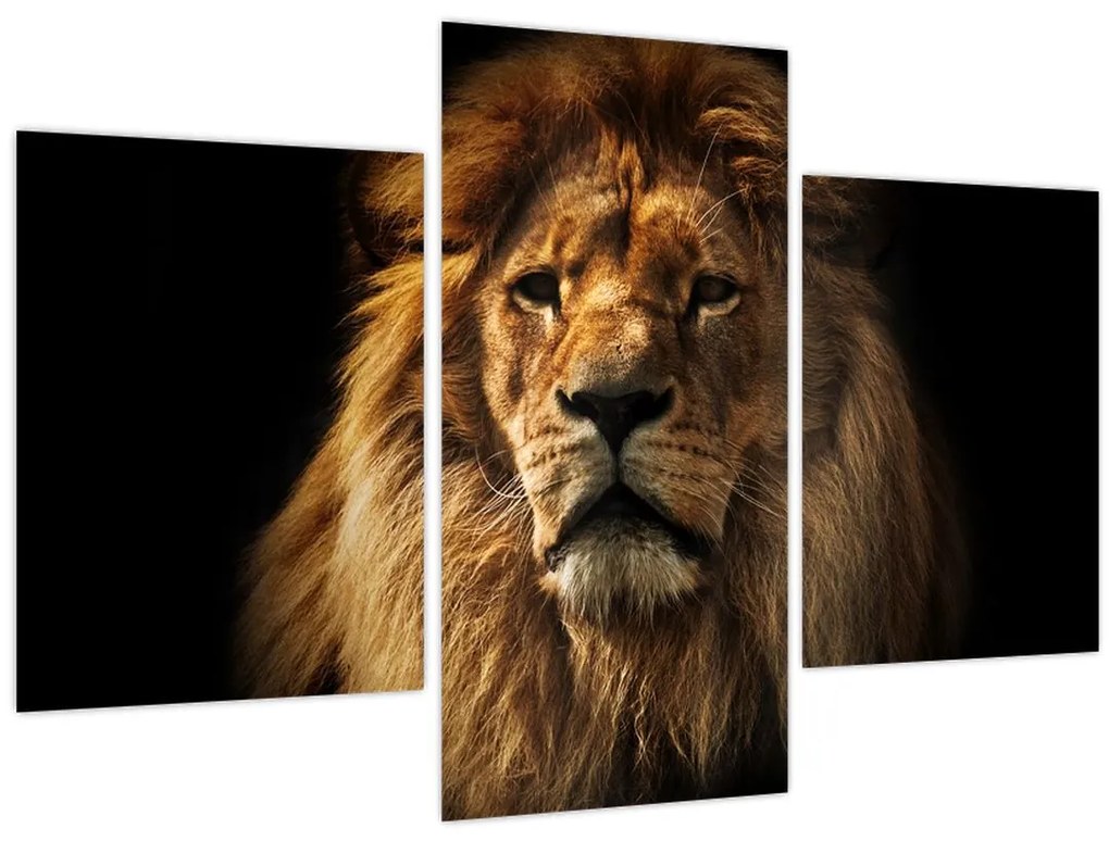 Tablou - Leu cu o coamă bogată (90x60 cm)