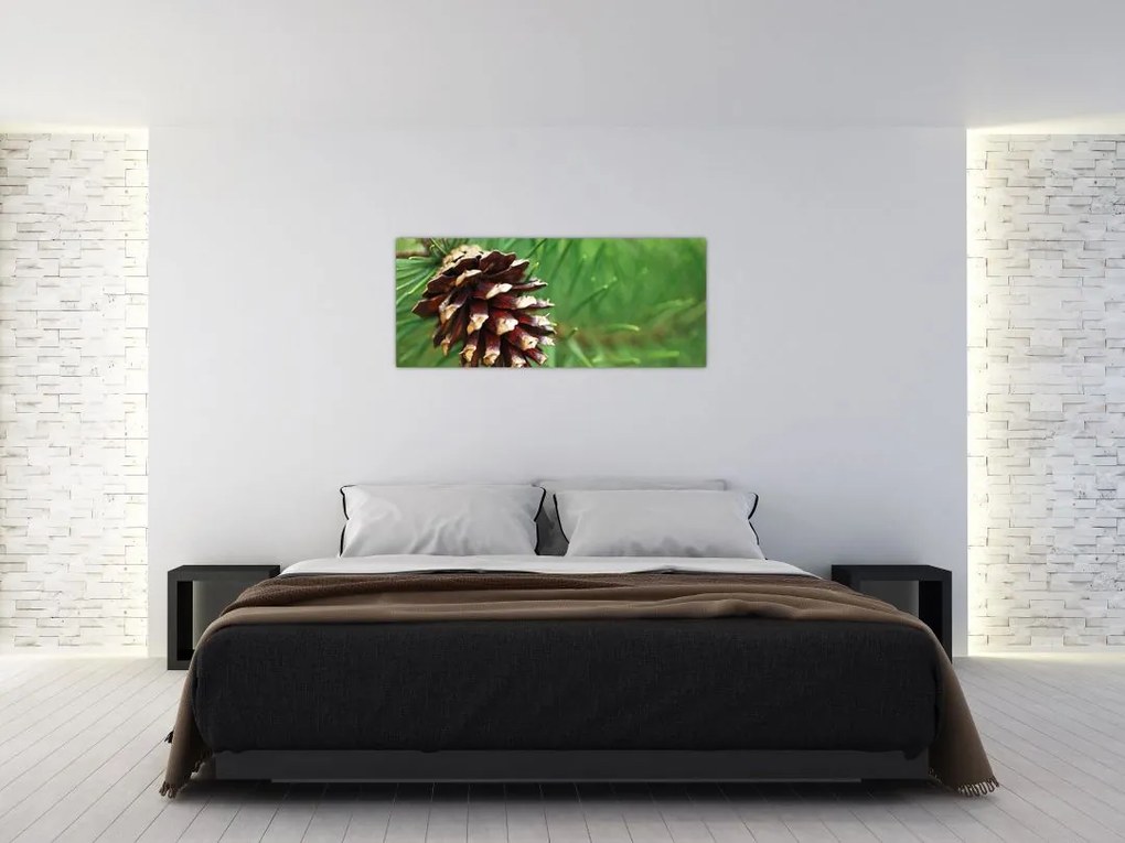 Tablou cu con (120x50 cm)