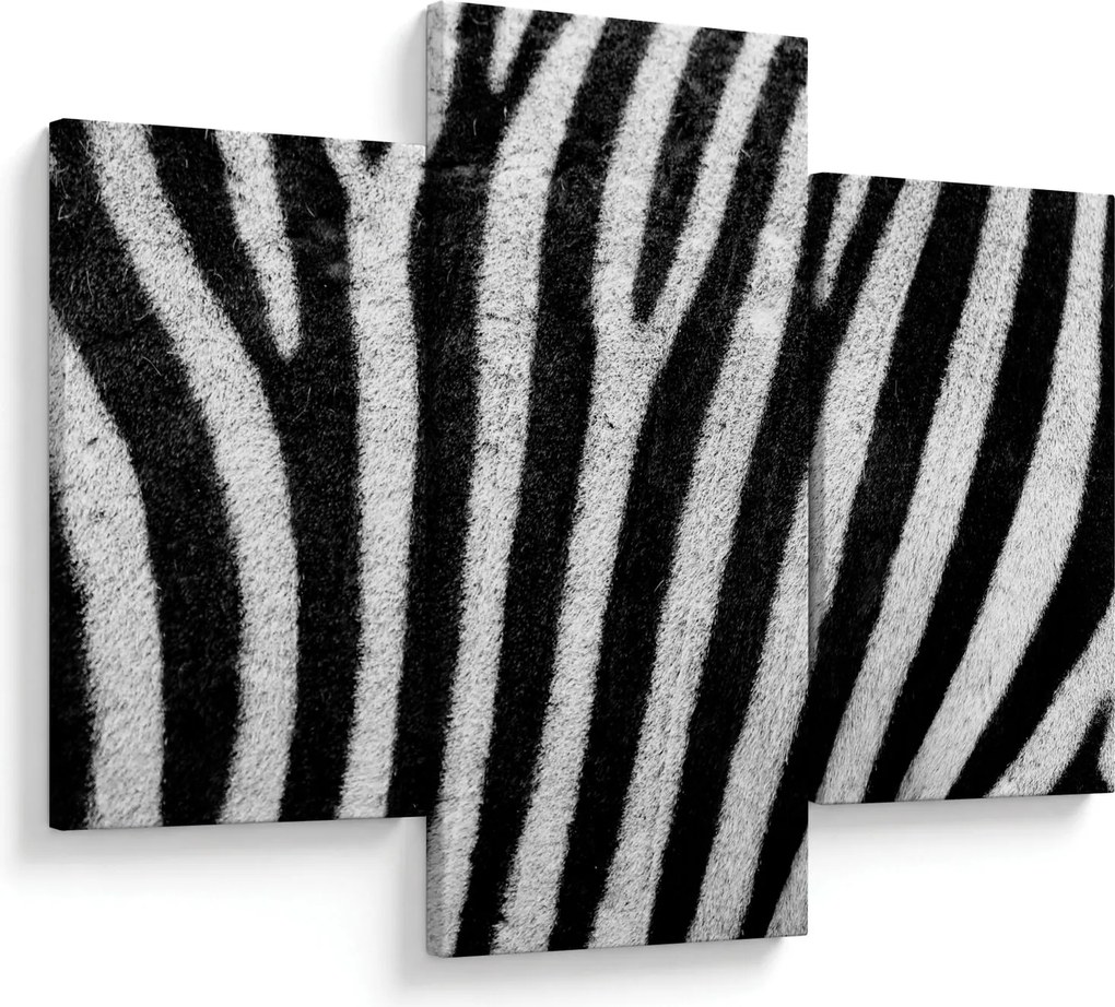 Tablou cu piele de zebră (90x60 cm)