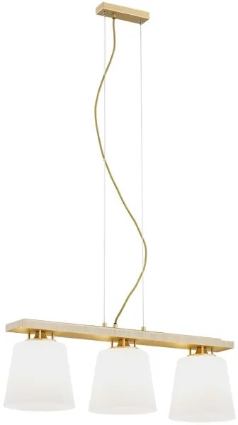 Lustră pe cablu ARDEN 3xE27/15W/230V Argon 6250