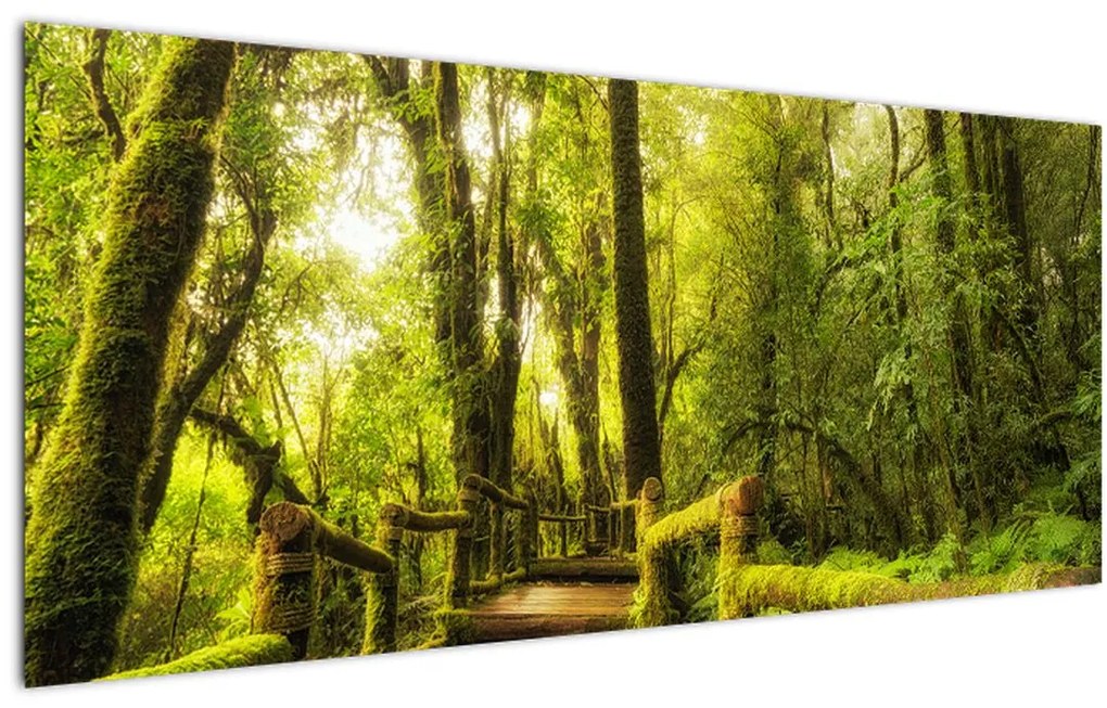 Tablou junglei cu mușchi (120x50 cm)