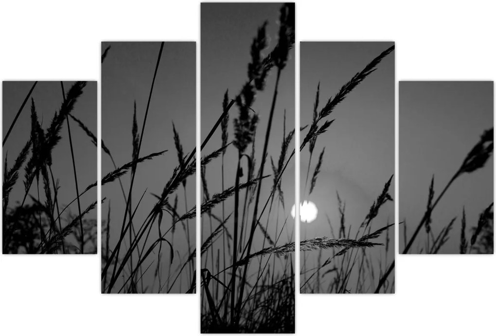 Tablou - Pajiște cu apus de soare (150x105 cm)