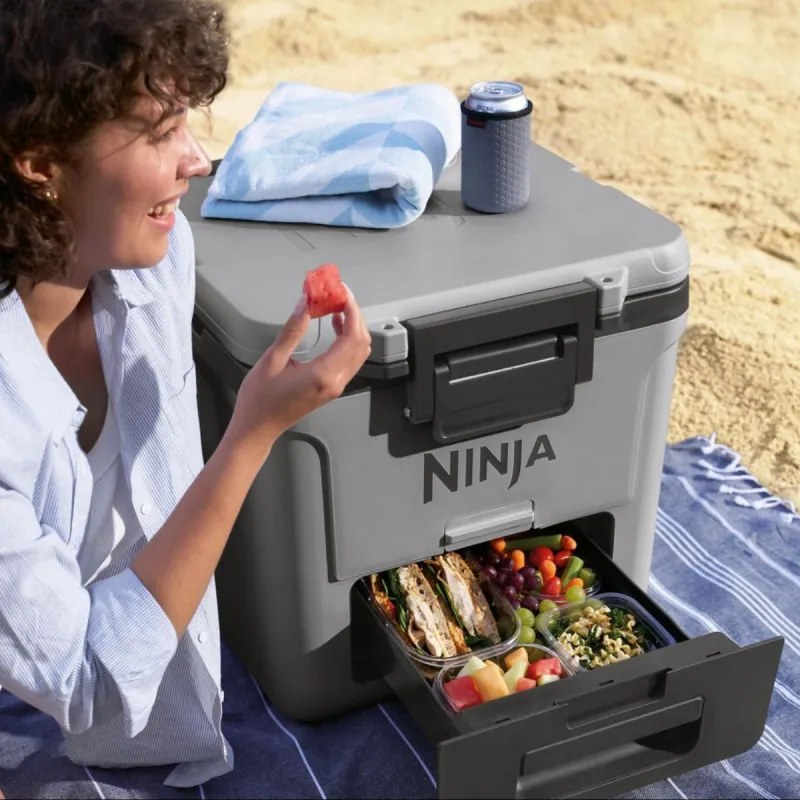 Lada frigorifica Ninja FrostVault FB230EUGY, 28 l, Pasiva, 48 doze, Pastreaza gheata pana la 5 zile, Compartiment uscat, Roti, Gri