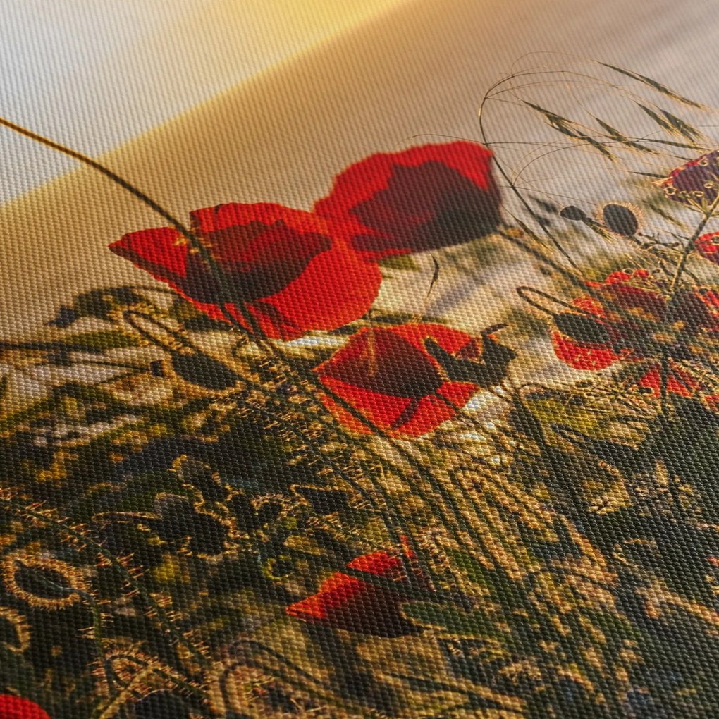 Tablou cu apus de soare cu flori de maci (120x50 cm)