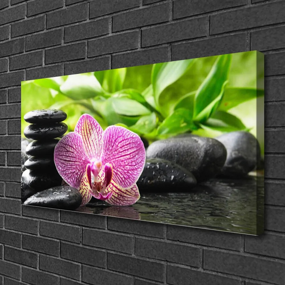 Tablou pe panza canvas Pietrele florale flori Roșu Negru