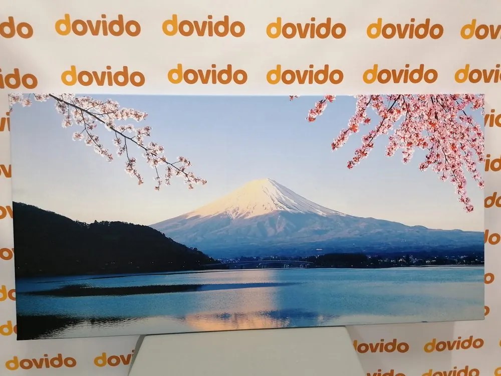 Tablou vedere din lacul la Fuji