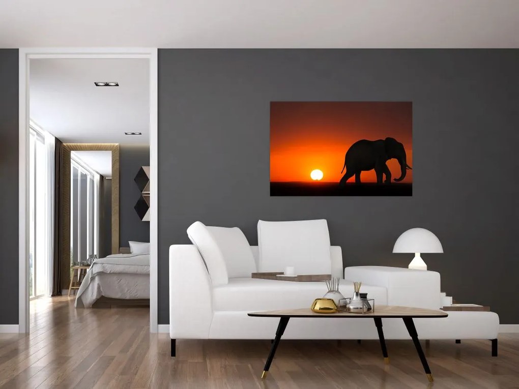 Tablou cu elefant în apus de soare (90x60 cm)