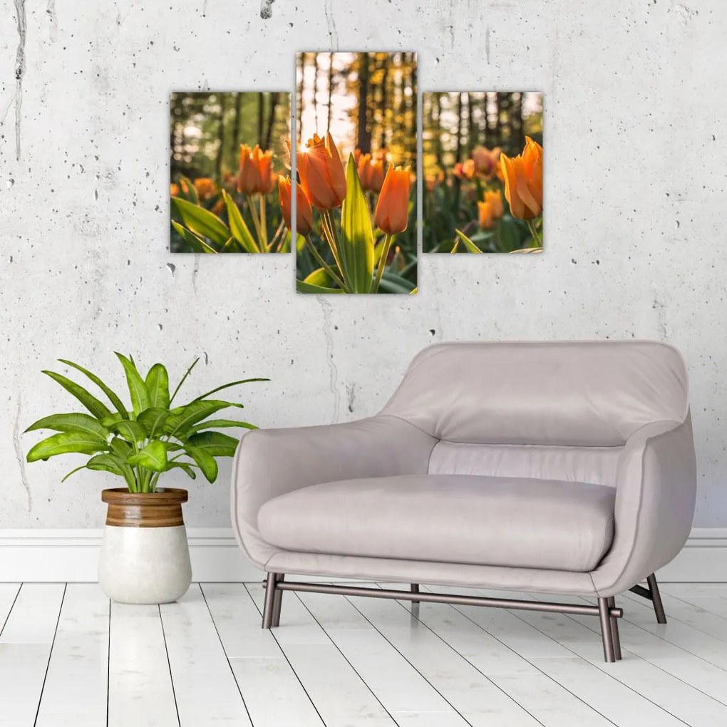Tablou - florile lalelelor (90x60 cm)