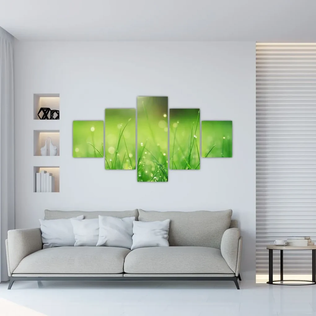 Tablou - roua pe iarbă (125x70 cm), în 40 de alte dimensiuni noi