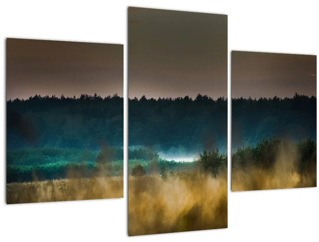 Tablou - Peisaj de munte (90x60 cm)