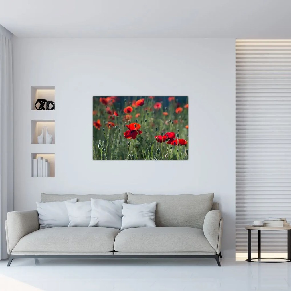 Tablou - Lunca cu maci (90x60 cm)