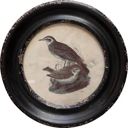 Tablou decorativ, cu rama din lemn de pin, aspect vintage, Turtledoves III