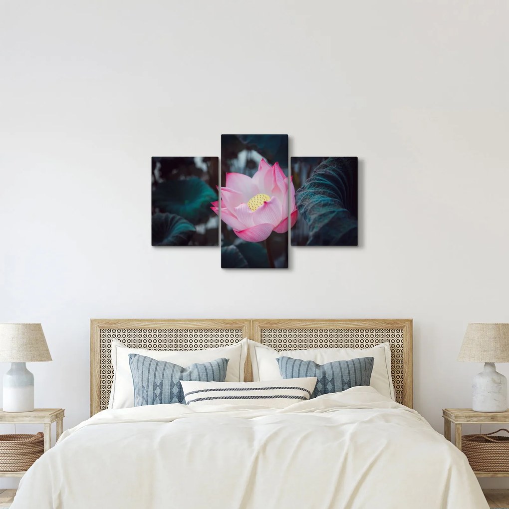 Tablou cu floare roz (90x60 cm)