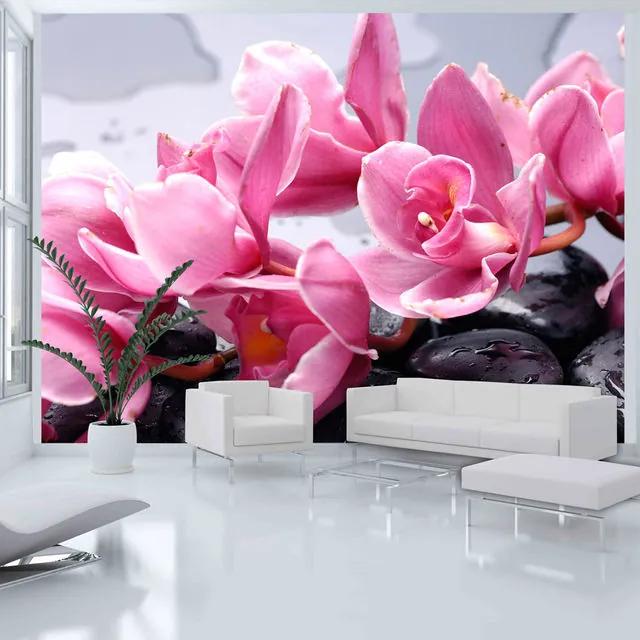 Fototapet - Orchid flowers with zen stones