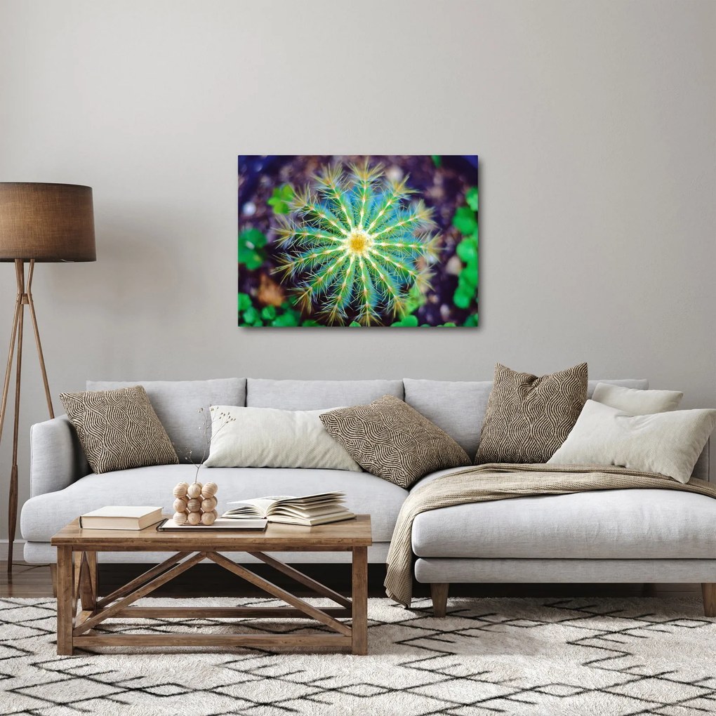 Tablou cu cactus (70x50 cm)
