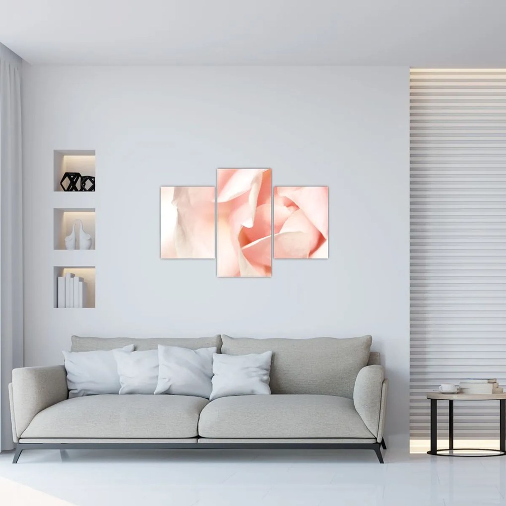 Tablou - Trandafiri (90x60 cm)